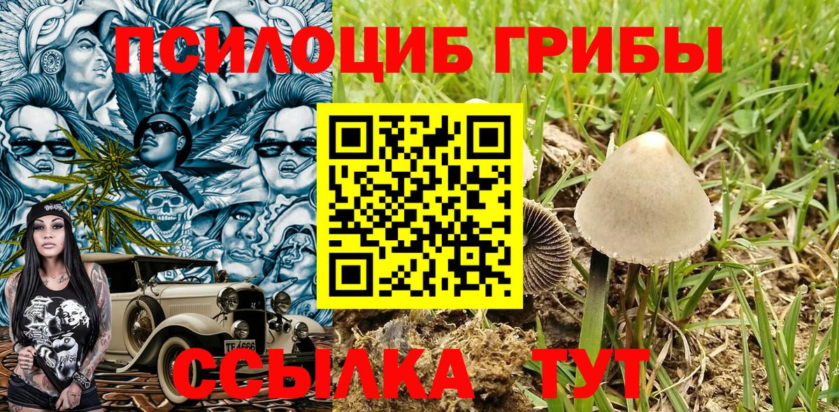 Полысаево  Псилоцибиновые грибы MAGIC MUSHROOMS  Вход с VPN 